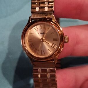 Ladies Carolee Stretch Watch